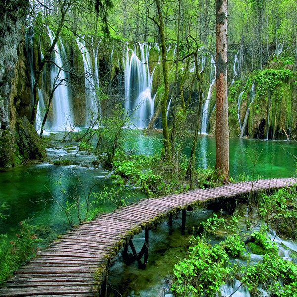 Top 5 parchi della Croazia | Vacanze in Croazia